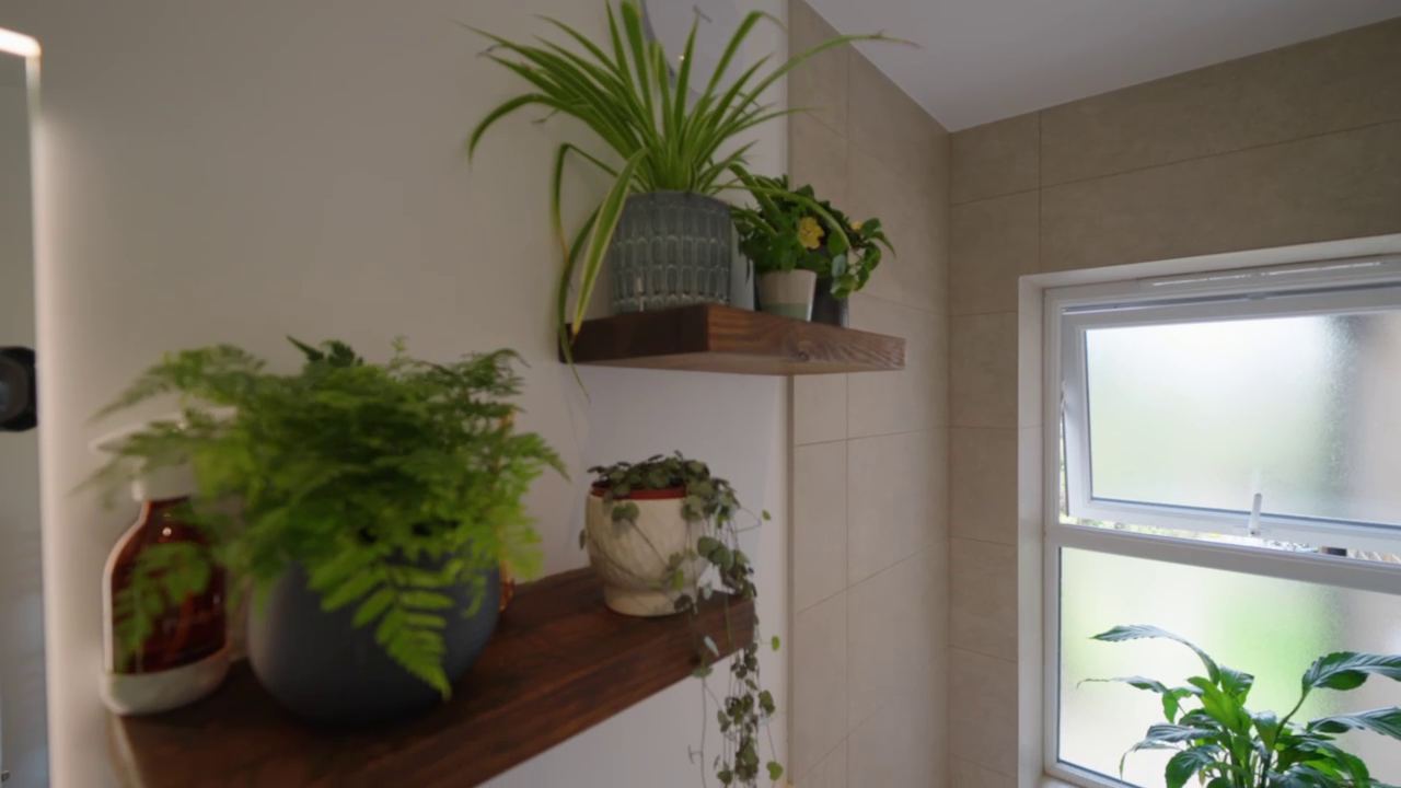 New loft bathroom with window, shelving and plants